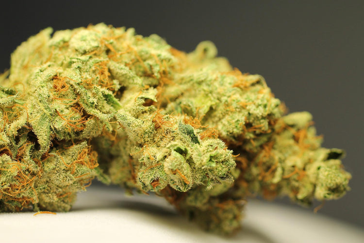 Toutes nos fleurs CBD