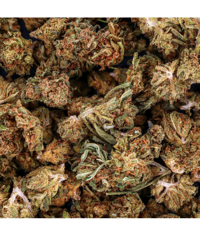 Tutti Fruitti - Small Bud | Indoor