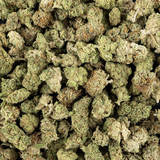 Critical X Amnesia 2.0 / Small bud indoor